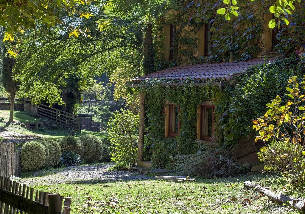 Masia El Moli De Can Aulet Guest House Arbúcies Eksteriør bilde