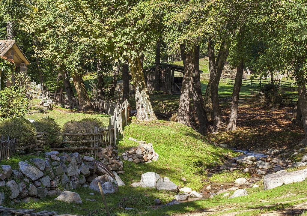 Masia El Moli De Can Aulet Guest House Arbúcies Eksteriør bilde